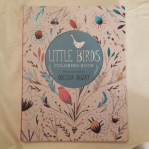 Little Birds Coloring Book by Odessa Begay